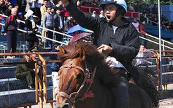 Hội đua ngựa Báo NTNN-Phú Sơn: Mãn nhãn cuộc đấu “siêu cúp”