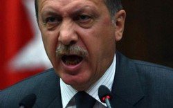 Thổ Nhĩ Kỳ: 100 người bị bắt vì xúc phạm Tổng thống