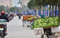 Phố hoa quả giá rẻ bán rong ở Hà Nội