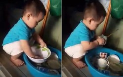 Clip bé trai 2 tuổi rửa bát được dân mạng rầm rộ chia sẻ