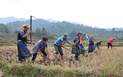 Đột phá hạ tầng, nhân lực và giảm nghèo