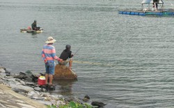 Thú vui đi câu cá dò nơi cửa sông Hàn