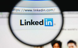 LinkedIn dẹp tin tặc giả mạo nhà tuyển dụng