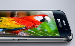 Màn hình AMOLED 'lên ngôi', Samsung chiếm 95,8% thị phần