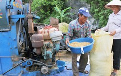 Dư âm hội nghị thượng đỉnh về khí hậu thế giới: Tạo cuộc sống no ấm, an toàn