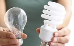 Cần biết: Nguy hiểm khó lường của đèn tiết kiệm điện