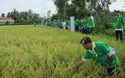 “Nhà Nông Tài Ba”: Cổ vũ xây dựng nông thôn mới tại ĐBSCL