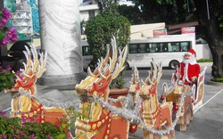 Mùa Noel trên phố biển Nha Trang