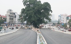 Những con đường phải né "cụ cây" trăm tuổi ở Thủ đô