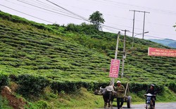 “Đến xã Ba, tìm người giàu rất dễ”