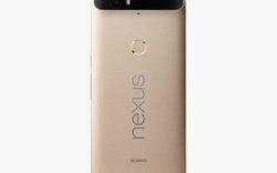 Nexus 6P phiên bản màu vàng đặc biệt lên kệ