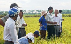 "Đầu tư hạ tầng sản xuất để tăng thu nhập cho nông dân"