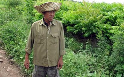Hưng Yên: Một nông dân hàng chục lần lên tòa xin được xét xử
