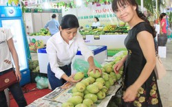 Nhận diện nông sản thực phẩm an toàn Việt tại Hà Nội