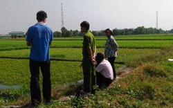 Trồng rau muống VietGAP ở Củ Chi: Nông dân tìm mọi cách "xé rào"