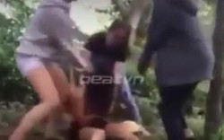 Xác định được nhóm đánh và tung clip hả hê hành hạ một phụ nữ trẻ
