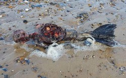 Xác chết “người cá” dạt vào bờ biển nước Anh