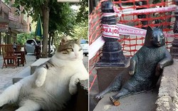 Chú mèo ngồi "bá đạo" được tạc tượng sau khi qua đời