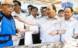 Thủ tướng bác đề xuất lập Sở An toàn vệ sinh thực phẩm của TP.HCM