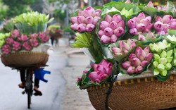 Những lý do khách Tây "phải lòng" ở Hà Nội