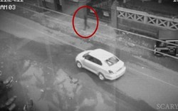 Video: Bóng đen bí ẩn qua đường không sợ xe giữa ban ngày