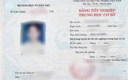 Bị hủy bằng cấp 3, Trưởng ban Tổ chức Thành ủy xin từ chức