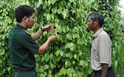 Tổ tự quản trong đồng bào Ia Pnôn