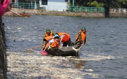 Vụ cá chết Hồ Tây: Kiểm tra toàn bộ cống xả thải