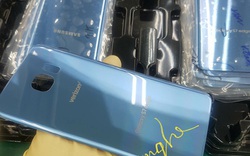 Galaxy S7 Edge màu xanh san hô thay thế Note 7