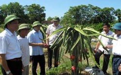 Sức lan tỏa lớn từ Chương trình “Tự hào Nông dân Việt Nam”