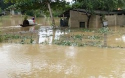 Quảng Bình – Quảng Trị: Ngập sâu trong mưa, 1 người mất tích