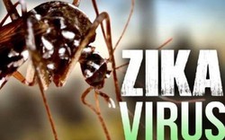 Thêm 2 người Việt Nam nhiễm Zika  tại TP. Hồ Chí Minh