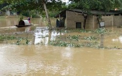 Bộ Y tế cảnh báo hàng loạt dịch bệnh xảy ra sau mưa lũ