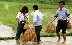 Du khách về xã nông thôn mới làm... nông dân