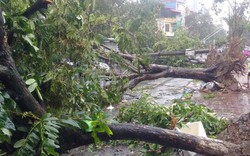 Hà Nội ra công điện khẩn ứng phó siêu bão Sarika