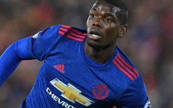 Fan M.U ví Pogba như... con lừa đắt giá