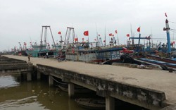 Thanh Hóa: Hơn 7.000 tàu thuyền vào nơi tránh trú bão