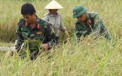 Hải Phòng: Hàng nghìn chiến sĩ giúp dân thu hoạch lúa mùa chạy bão