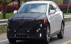 Cadillac vẫn tiếp tục phát triển sedan XTS 2018 mới