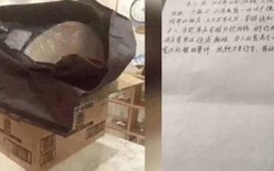Tâm thư xin lỗi của khách Trung Quốc trộm nắp bồn cầu ở khách sạn
