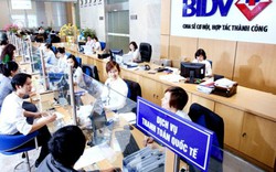 BIDV bất ngờ thông qua phương án trả 2.700 tỷ đồng cổ tức cho Bộ Tài chính