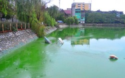 HN: Nước hồ Văn Quán đổi màu xanh biếc, hôi thối nồng nặc