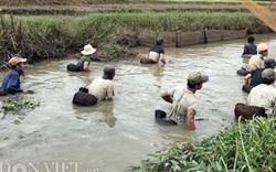 Độc đáo "dàn trận" tập thể bắt cá bằng... nơm tre