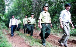 Lực lượng bảo vệ rừng chuyên trách được dùng công cụ hỗ trợ