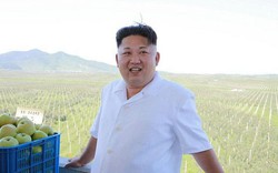 Kim Jong-un uống 10 chai Bordeaux đắt tiền trong bữa tối?