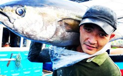 Có 1.081 loài hải sản trên vùng biển Việt Nam