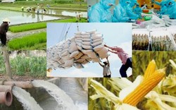 “Cần một tư duy công nghiệp trong sản xuất nông nghiệp!”