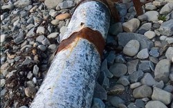 Ireland: Dạo bờ biển, phát hiện ống ma túy 5,4 triệu USD