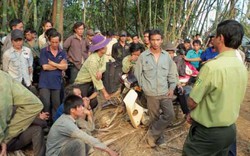 Nóng bỏng “cuộc chiến” đất rừng