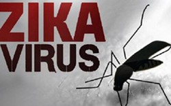 Chính phủ yêu cầu chủ động phòng, chống dịch bệnh do vi rút Zika